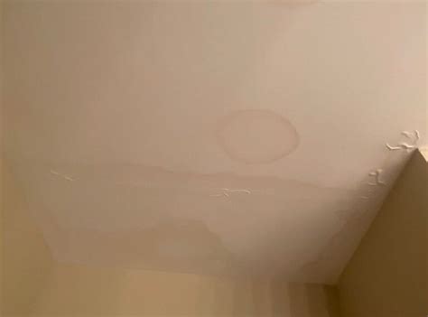 Ceiling Water Damage? Here’s What to Do to Fix It