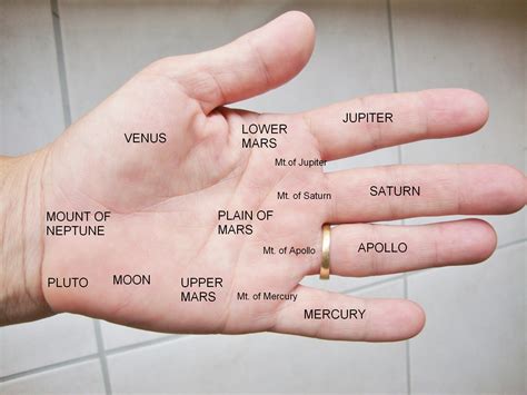 Sally Brompton Globe: This Astrology Method Is Taking Over! Image 16