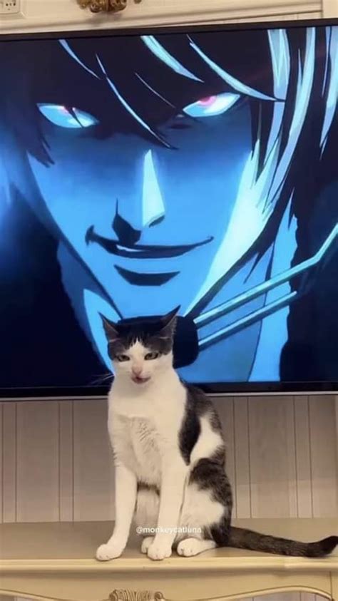 kira : r/AnimeFunny