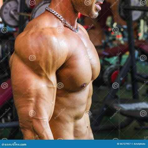 Bodybuilder Working Out at Gym, Side View of Muscular Chest, Pecs, Arms ...