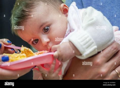 Young baby trying to eat food from a plastic dish Stock Photo - Alamy