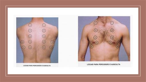Ausculta Pulmonar E Cardiaca
