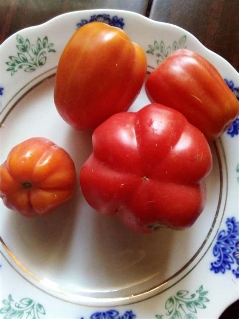Томат ребристый | Stuffed peppers, Vegetables, Food
