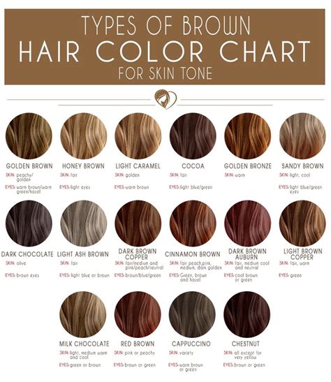 brown hair color chart  find  flattering brunette shade