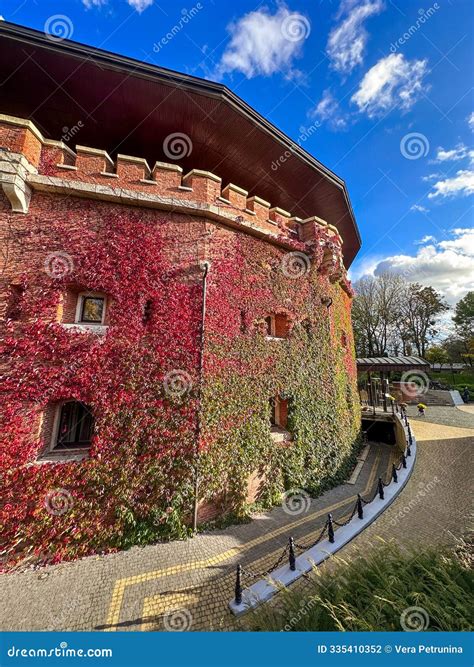 Autumn Ivy-Covered Building with Scenic Pathway Stock Photo - Image of