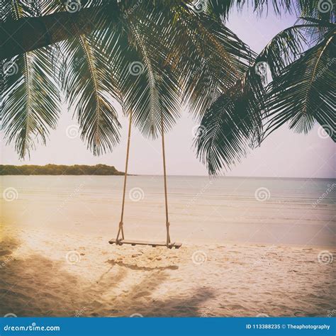 swing hang  coconut tree  beach sea phuketthailand royalty