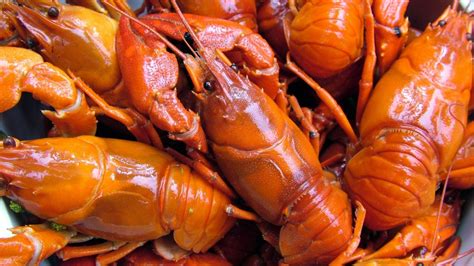Foto Udang Selingkuh, Kuliner Unik Wajib Coba di Papua