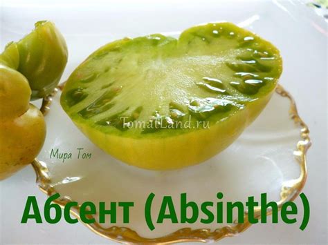 Томат Абсент: описание сорта, ОТЗЫВЫ, фото, урожайность | tomatland.ru