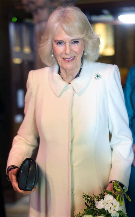 Prince Harry Avoided Camilla During King Charles Visit: Report