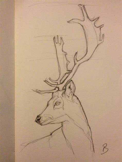 Reindeer Sketch | Animal drawings, Deer drawing, Art drawings sketches