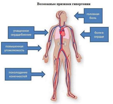 Высокое давление: причины и симптомы артериальной гипертензии, способы ...