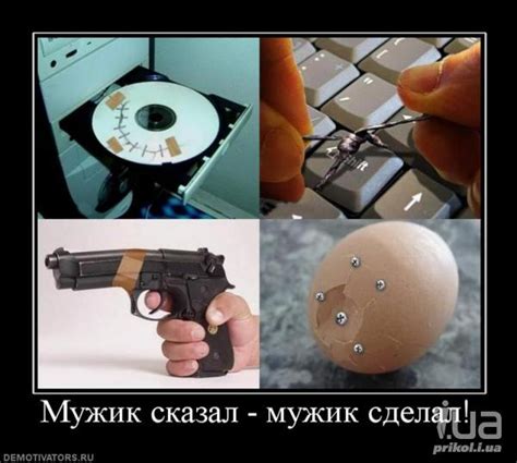 Приколи - картинки, відео приколи, смішні історії та анекдоти