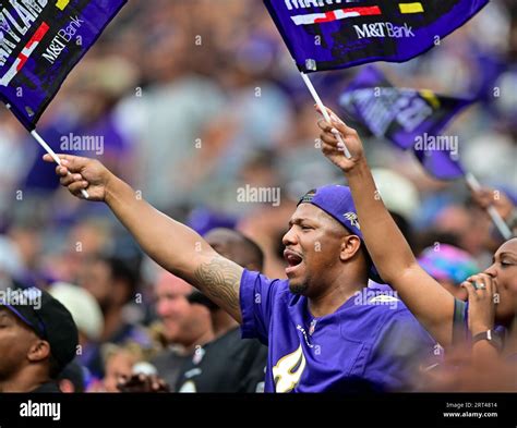 Baltimore ravens fans hi-res stock photography and images - Alamy