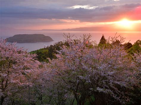 Chiringashima | KYUSHU x TOKYO (JAPAN)