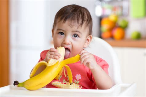 Qual Banana Bebê Pode Comer - Os primeiros alimentos para oferecer ao bebê - Sou Mamãe