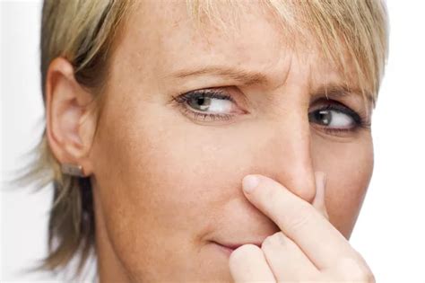Residents complain of foul pong across Cheltenham - Gloucestershire Live