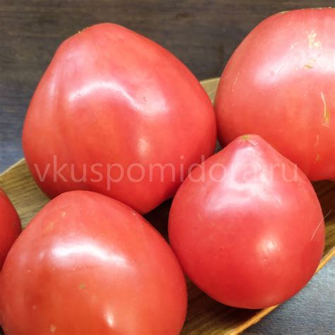 Купить семена томата сорт Абаканский розовый