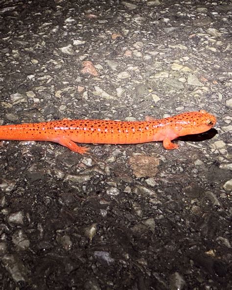 Maryland Adventure Babe added a... - Maryland Adventure Babe