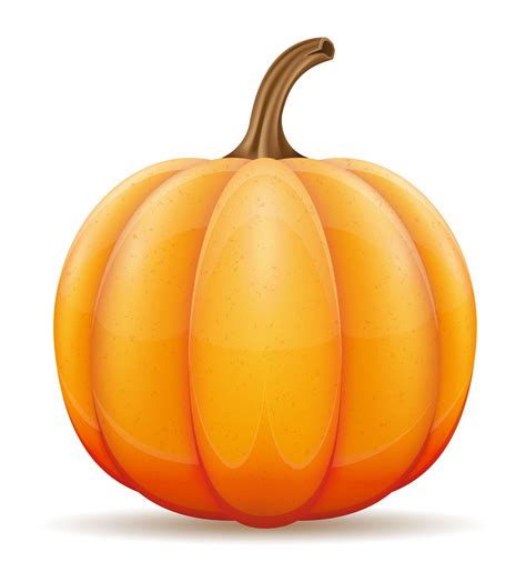 pumpkin vector art 9