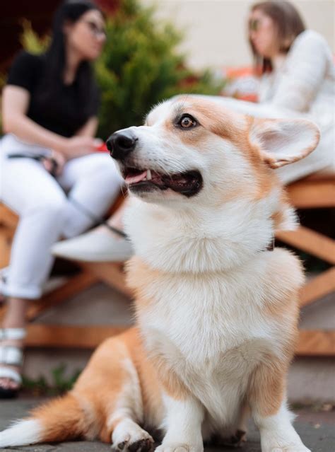 Contacting a loved one at the bentonville ar county jail 27