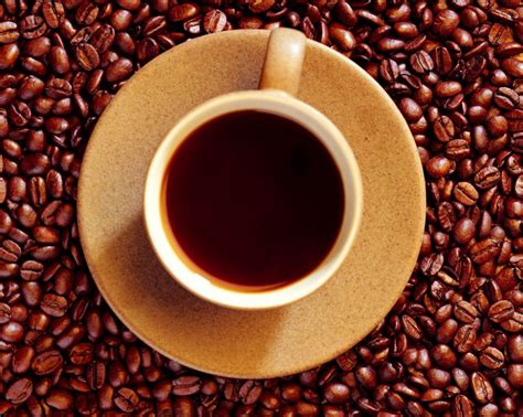 jenis kopi khas indonesia  digemari  populer  luar neg