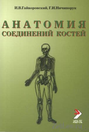 Методичка по анатомии Гайваронский И.В Суставы