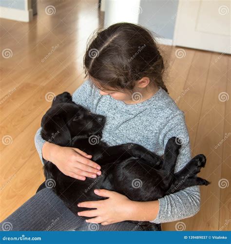 How To Take Care Of Baby Labrador