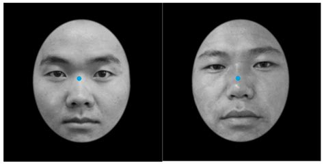 Age Weakens the Other-Race Effect among Han Subjects in Recognizing Own