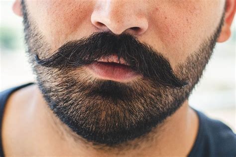 top  stubble beard styles  men   guide examples