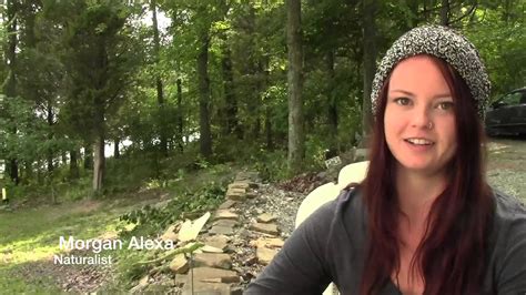Naturalists - YouTube