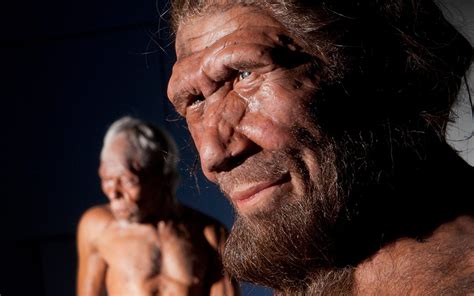 neanderthals  capable  turbo breathing    study