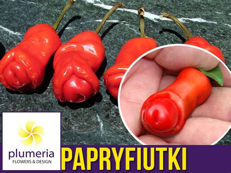 Papryka Ostra 'Papryfiutki' Nasiona ☞ Plumeria.pl