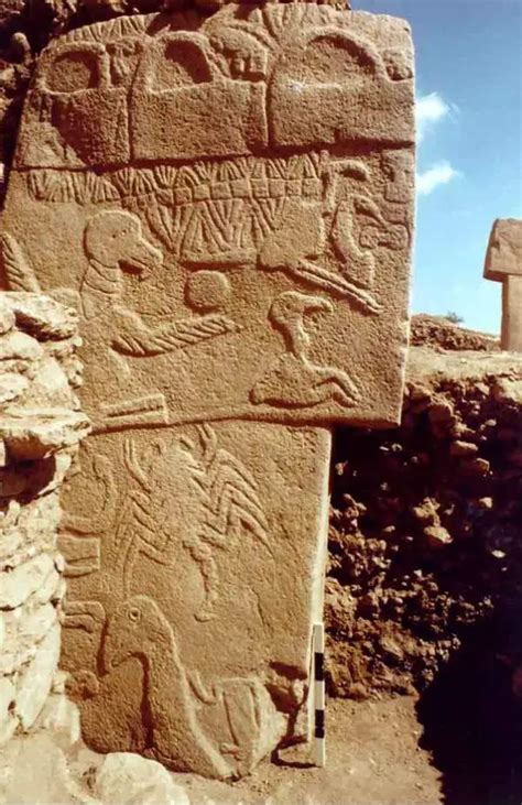 Ancient carvings in Göbekli Tepe show a comet hit Earth 13,000 years ago - Our Planet