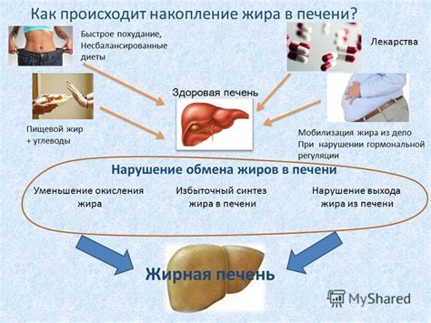 Презентация на тему: "Жировой гепатоз – болезнь или следствие наших ...