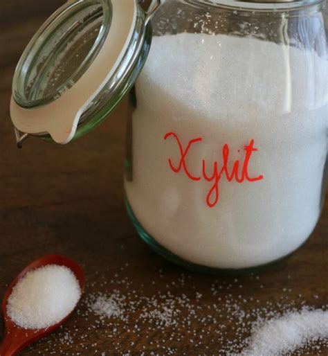 Xylit (Xylitol) - Heilkraft Ernährung