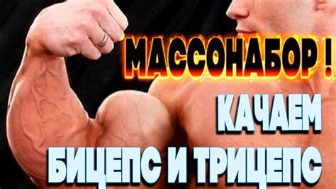 Как накачать БИЦЕПС и ТРИЦЕПС. Мощная тренировка! - YouTube