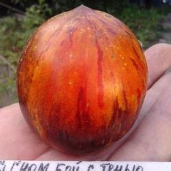 Томат Бой с тенью: описание сорта, ОТЗЫВЫ (16), фото | Tomato, Pumpkin ...