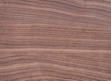 Walnut vs Black Walnut Wood : Comprehensive Comparison