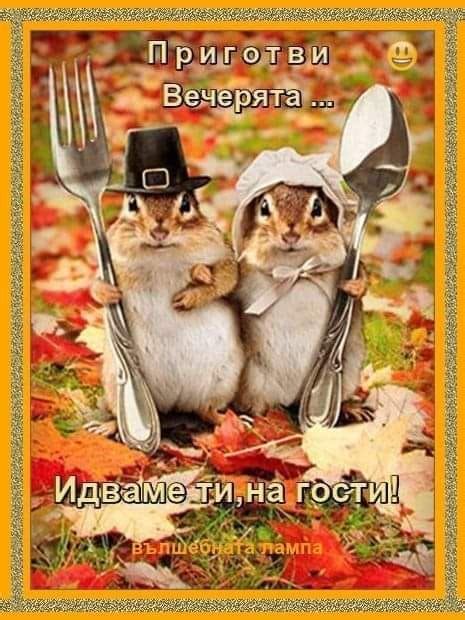 Сърце от огън
