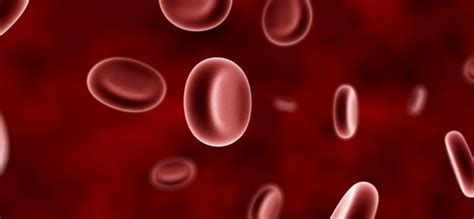 Форменные элементы крови | Meddoc