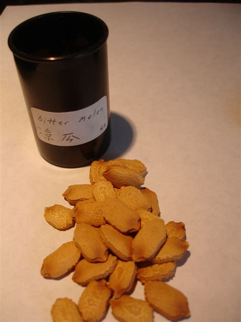 Young Urban Farmers Tip 22: Storing Seeds Properly