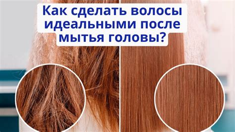 Как сделать волосы блестящими и гладкими после мытья? Домашний уход за ...