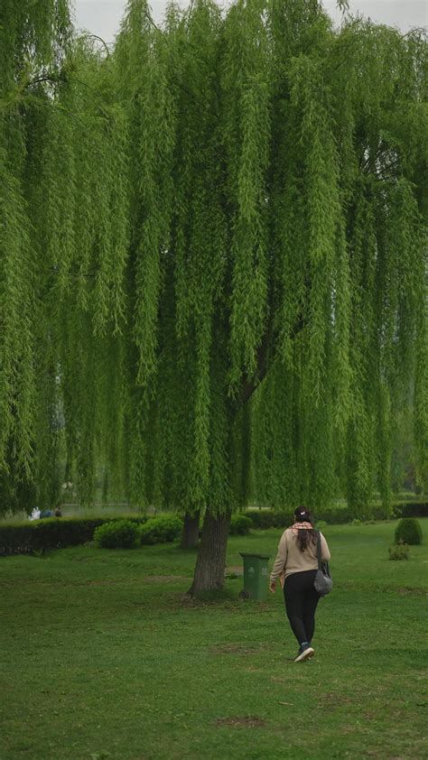 Full+Frontal+Female+Nudity+Videos Videos, Download The BEST Free 4k