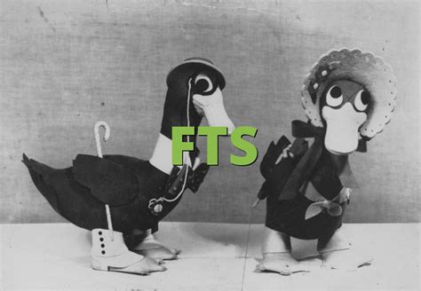 FTS Meaning » Slang.org
