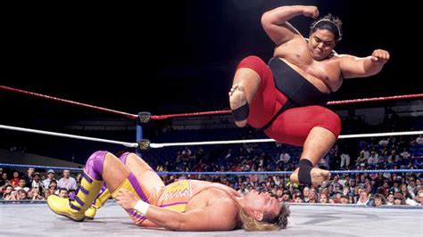 Yokozuna's Cageside Evaluation - Cageside Seats