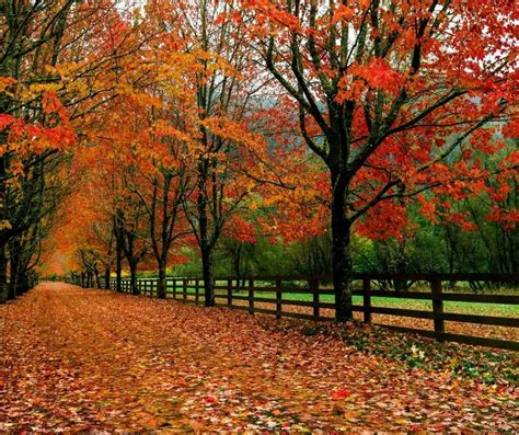 10 Great Places to See Fall Colors in Washington State