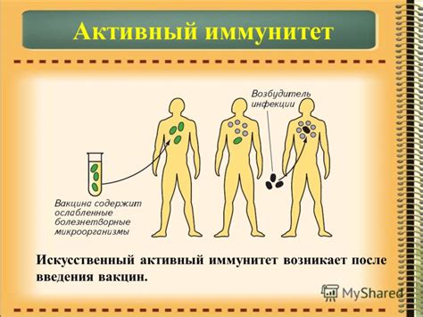 Презентация на тему: "Иммунитет - способность организма защищать ...