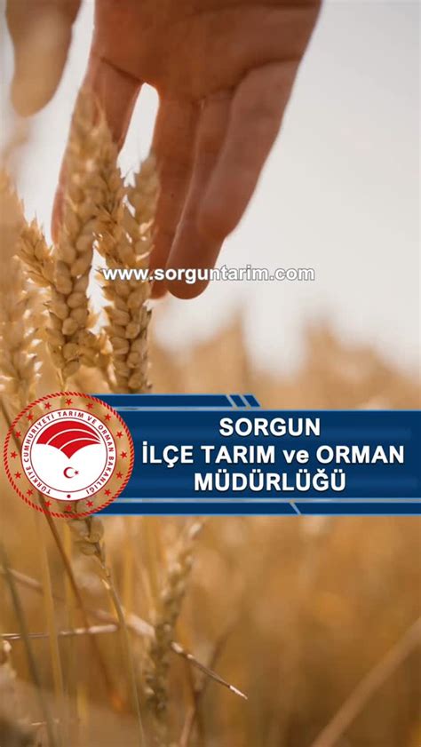 Sorgun İlçe Tarım Müdürlüğü (@sorguntarim) • Instagram photos and videos
