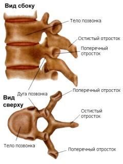 ПОЗВОНКИ. КАК ЛЕГКО ЗАПОМНИТЬ