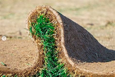 Рулонный газон: ширина, высота и вес рулонного газона за квм от Green Roll